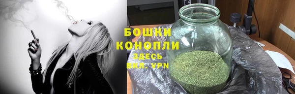 молекула духа Белокуриха