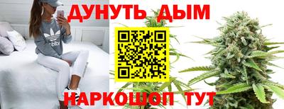 шишки Донской