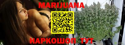 шишки Донской