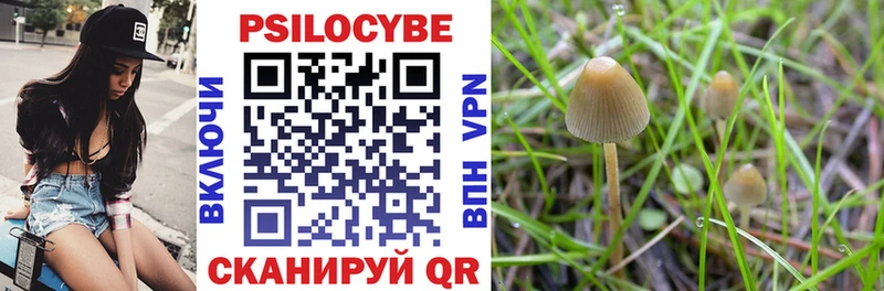 площадка Telegram  Коломна  Псилоцибиновые грибы GOLDEN TEACHER  что такое наркотик 