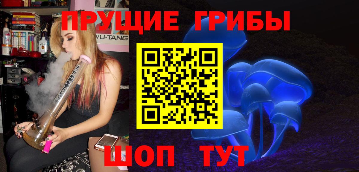 Галлюциногенные грибы Psilocybe Коломна