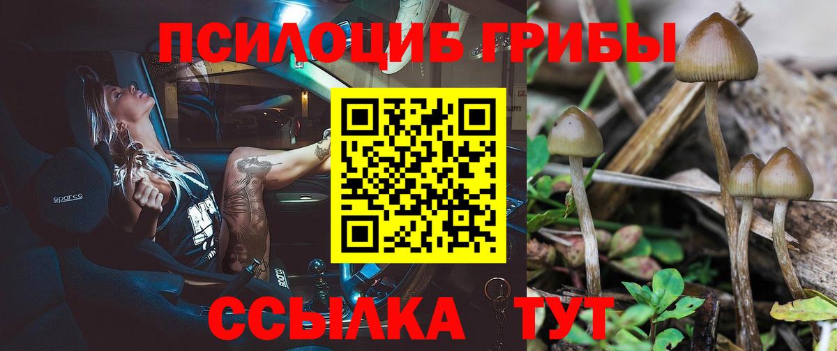 Коломна  Галлюциногенные грибы MAGIC MUSHROOMS  Галлюциногенные грибы MAGIC MUSHROOMS  Вход с VPN 